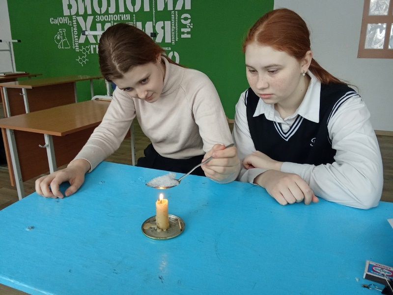 Изучение физико-биологических свойств воды.